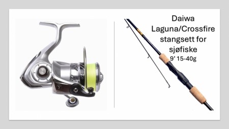Daiwa Laguna stang 9' 15-40g m/ Crossfire 3000-c snelle