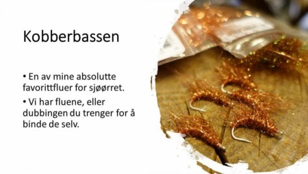 Kobberbassen