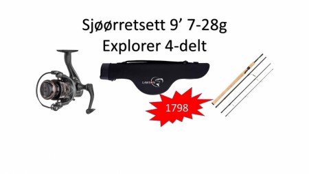 Explorer sjøørretsett 9´ 7-28g, 4-delt